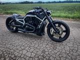 Harley-Davidson CUSTOM VIKING VRSCDX V-rod 300 vrod night rod v - HARLEY-DAVIDSON 300