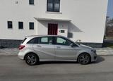 Mercedes-Benz B 200 d DCT - - Mercedes-Benz B 200 in Bielefeld