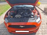 Ford Mustang V6  - Ford Mustang: Cabrio, V6