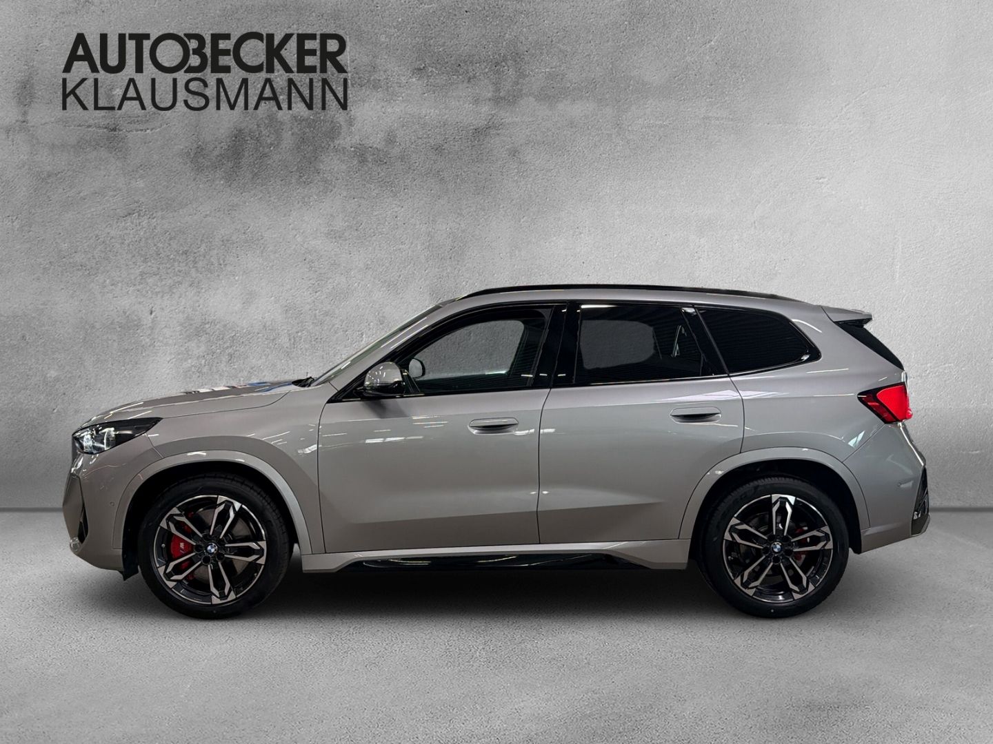 BMW X1 xDrive 20d M SPORT PRO 19''ALARM AHK KAMERA foto 3