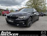 BMW 430 Gran Coupé - BMW 430 Gran Coupé: Schwarz