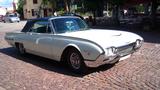 Ford Thunderbird Sports Roadster - Ford Oldtimer mit Benzin-Antrieb: Cabrio
