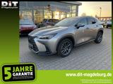 Lexus NX 350h Executive Line ACC+LED+Pano+SD+SHZ - gebrauchte Lexus NX 350h aus dem Jahr 2024