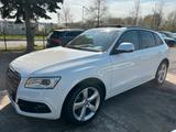 Audi SQ5 3.0 TDI Leder, Navi, Pano.Dach, Xenon, - Audi SQ5 Diesel Gebrauchtwagen