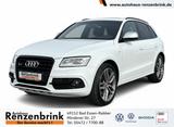 Audi SQ5  3.0 TDI competition quattro PANO AHK STANDH - Audi SQ5 in Osnabrück
