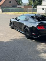 Ford Mustang Fastback GT 5.0L Ti-VCT V8 - Ford Mustang Gebrauchtwagen in Mönchengladbach