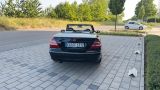 Mercedes-Benz CLK 200K Cabrio -  Unfallfrei -  Service neu - Mercedes-Benz aus 2004: Cabrio, Clk
