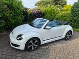 Volkswagen Beetle 1.2 TSI DSG BMT CUP Cabriolet CUP - Volkswagen Beetle: Cabrio