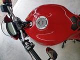 Ducati Monster 797+,  wenig km TÜV 08/26, Sonderpreis - DUCATI MONSTER 797