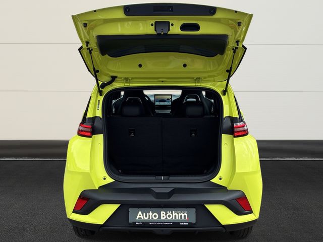 BYD Dolphin Surf Active+Kam+ACC+Leder+PDC+Navi+DAB+K