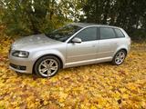 Audi A3 1.6 TDI (DPF) Sportback 8fach Bereifung - Audi A3: Sportback Dpf