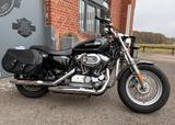 Harley-Davidson Sportster 1200 Custom  - SPORTSTER