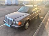Mercedes-Benz 250D Schalt, Vollrestauriert am AutoDealer - gebrauchte Mercedes-Benz 250 aus dem Jahr 1990