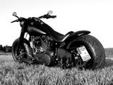 Harley-Davidson Fat Boy  - Umbau 260 Schwarz&laut Jekill - CHOPPER LA