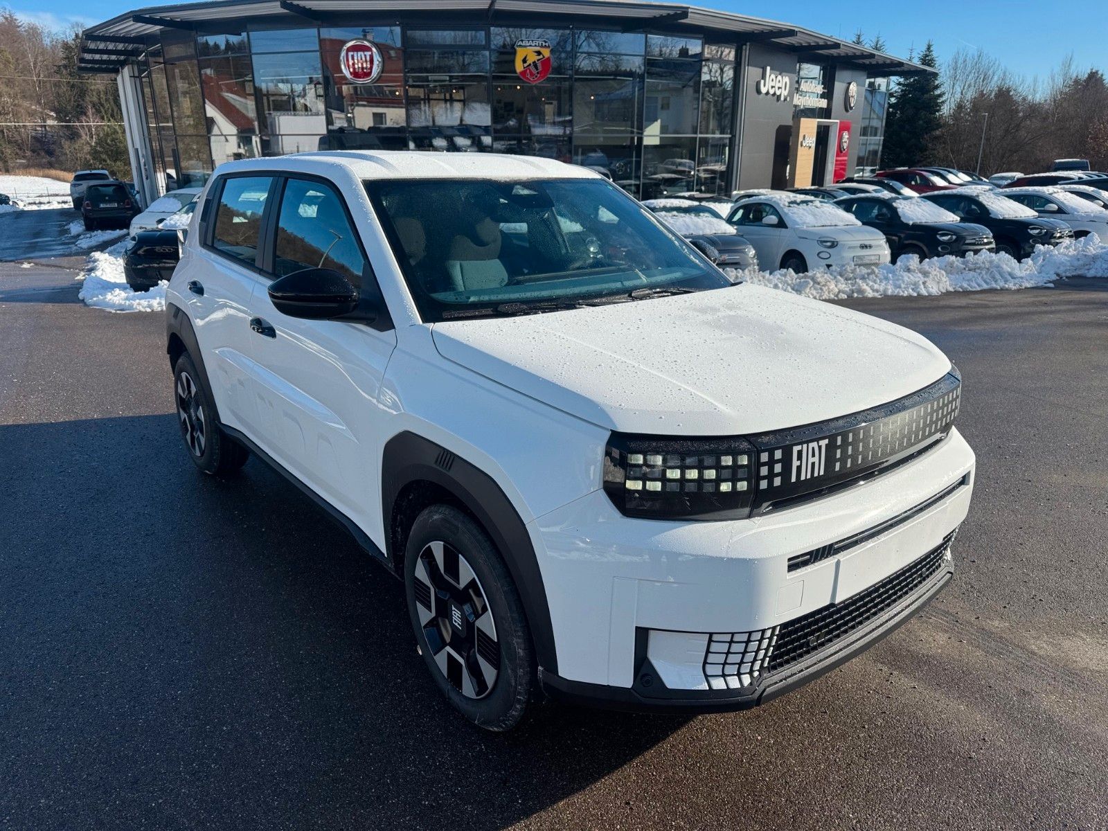 Fahrzeugabbildung Fiat Grande Panda 1.2 110PS Business Edition Navi