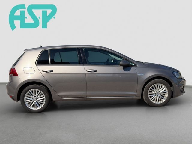 Fahrzeugabbildung Volkswagen Golf Comfortline DSG Veigl Compact 2 Commander