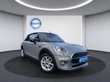 MINI Cooper Cabrio *LEDER*AUTOMATIK*SHZ*KLIMA*TEMP - graue MINI Cooper Cabrio