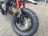 Honda Z125M Monkey 2025er Model + 6Jahre Garantie TZ - HONDA MONKEY