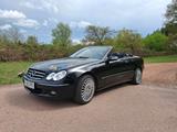 Mercedes-Benz Mercedes clk cabrio 320 v6 - Mercedes-Benz 320 aus 2004