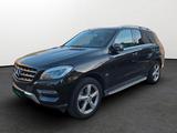 Mercedes-Benz Mercedes ML 350 CDI Bluetec 4Matic Euro6 - Mercedes-Benz ML 350 Gebrauchtwagen in Stuttgart