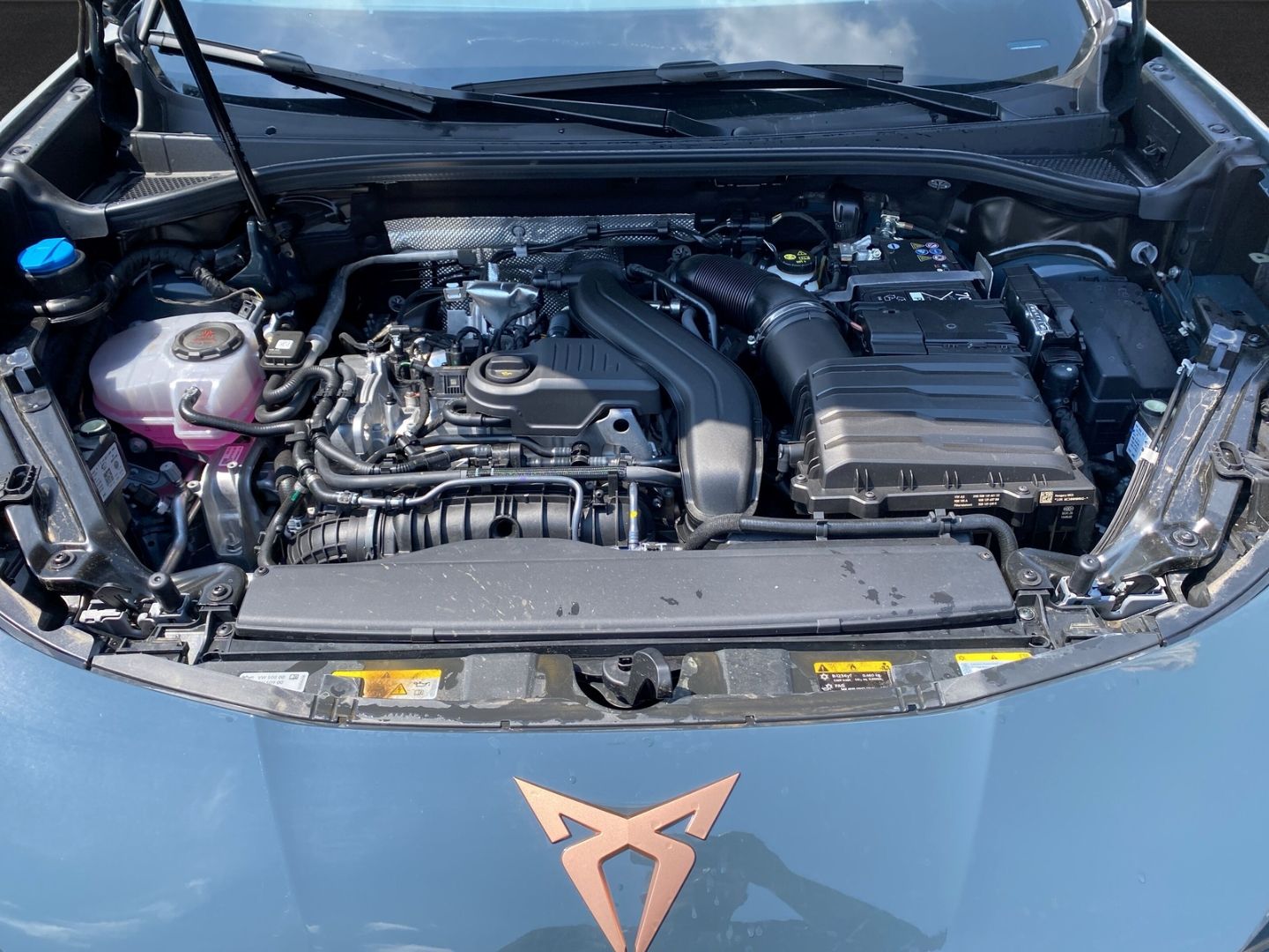 Fahrzeugabbildung CUPRA Terramar 1.5 eTSI 110 kW EU6e