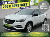 Opel Grandland X Innovation+AHK+TOTWINKEL+SPURHALTE - Opel Grandland (X) innovation mit Hybrid-Antrieb (Benzin/Elektro)