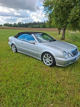 Mercedes-Benz CLK 230 KOMPRESSOR AVANTGARDE Avantgarde - Mercedes-Benz CLK 230: Cabrio