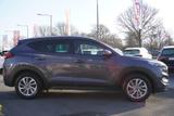Hyundai Tucson 1.6 T-GDI Advantage 2WD AHK Navi Kamera - Hyundai Tucson Advantage mit Benzin-Antrieb