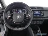 Skoda Fabia 1.0 TSI Cool Plus ParkPilot / Sitzheiz. / - gebrauchte Kleinwagen in Nürnberg