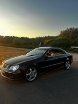 Mercedes-Benz CLK 500 ELEGANCE Elegance - Mercedes-Benz CLK 500: Coupe