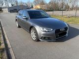 Audi A4 2.0TDI 140kW S tronic Av. - Leder,Head Up,LED - Audi A4: 140 TDI