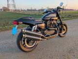 Harley-Davidson XR1200X Winterpreis !