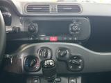 Fiat Panda 1.2 Easy KLIMA - Fiat Panda Gebrauchtwagen in Hannover