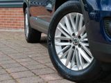 Volkswagen CUP 1.4 TSI 150 PS|SDHZ|AHK|Bi-Xenon - Volkswagen Tiguan: Blau