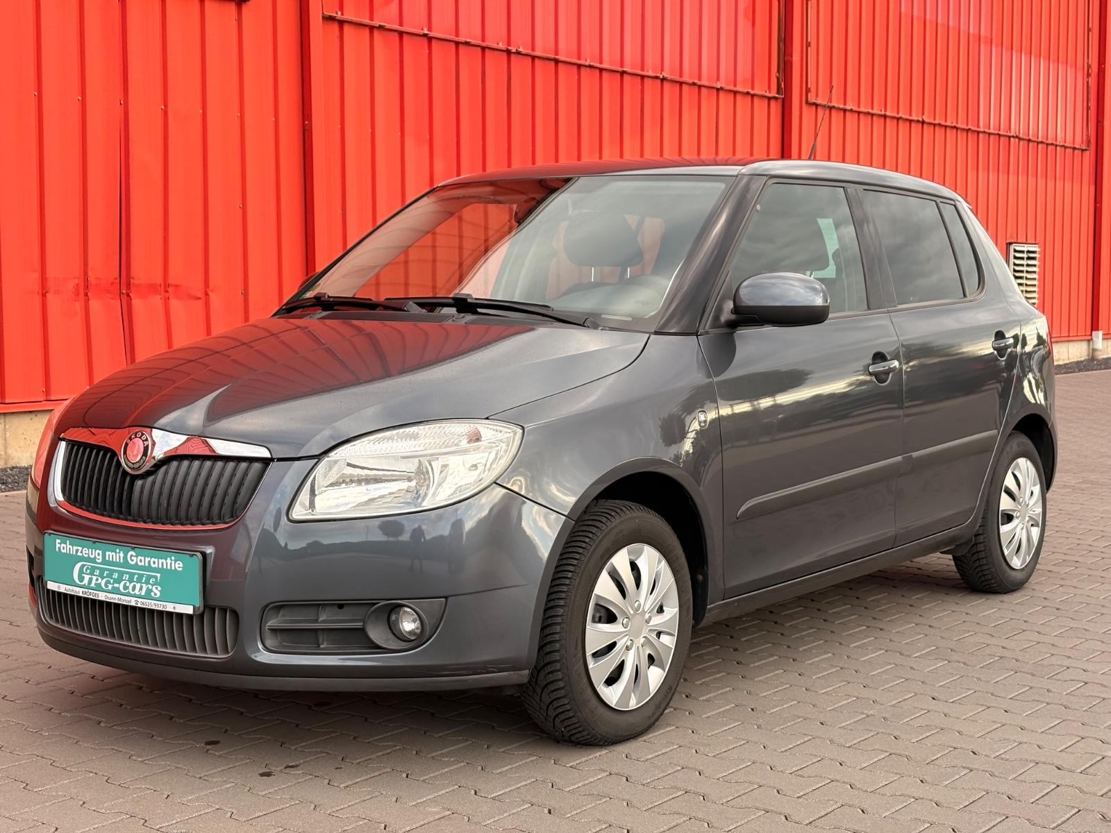 Skoda Fabia Garantie Klima S-Hef Top Gepflegt