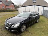 Mercedes-Benz E 220 CDI-T/7G-Tronic/Navi/AHK/PDC/ILS/Gepflegt
