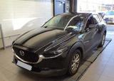 Mazda CX-30 - Mazda: Mazda3