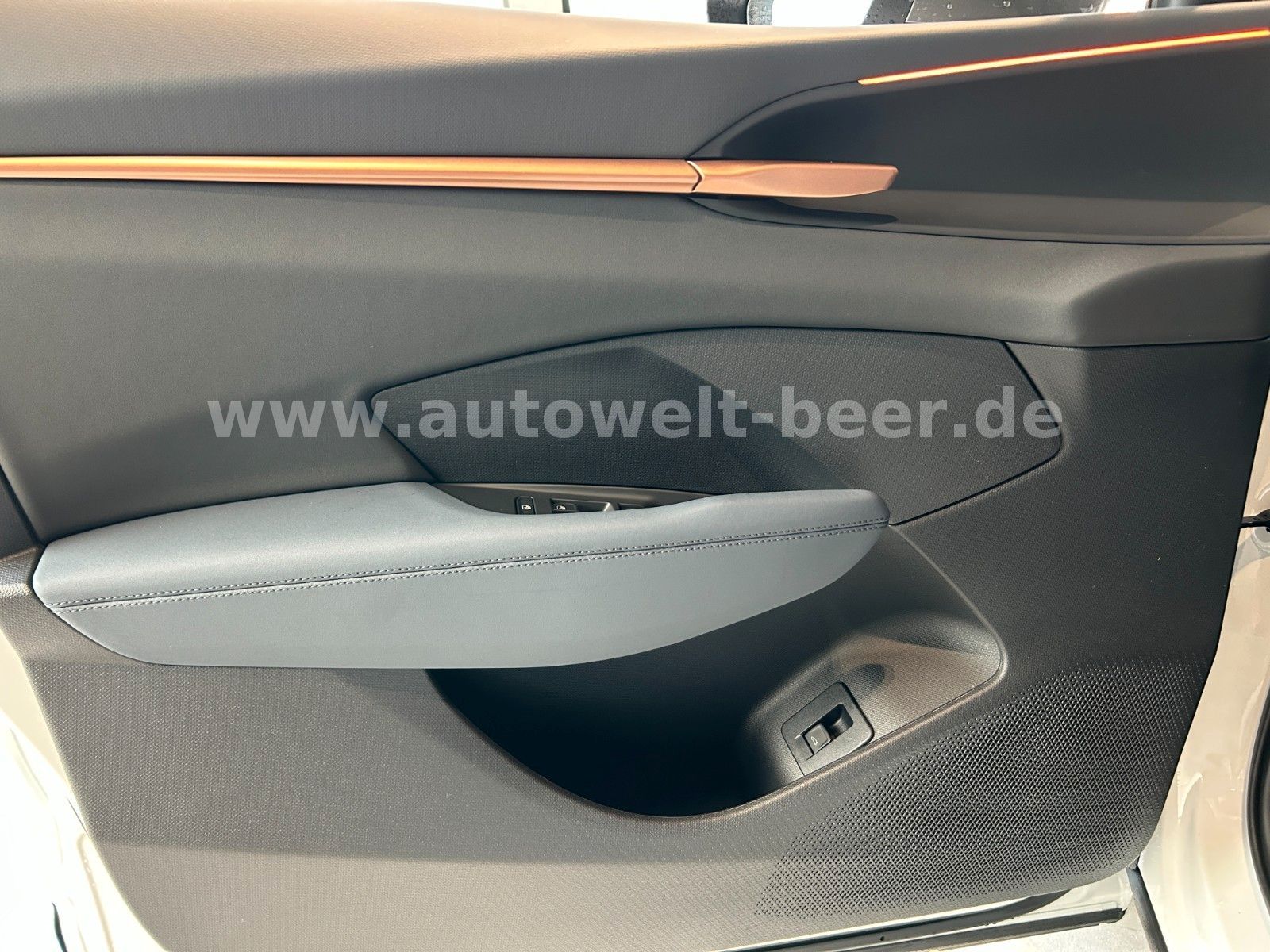 Cupra Terramar - Bild 14