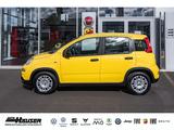 Fiat Panda Hybrid 1.0 GSE NEUES MODELL 2024 CITY TEMP - Fiat Panda: Gelb
