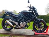 Suzuki Gladius SFV 650 A - Angebote