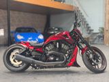 Harley-Davidson VRSCDX Nigh Rod Special *5HD*BBC*KESS-TECH - Offers matching your search criteria