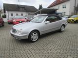 Mercedes-Benz CLK 320 Cabrio Elegance *Youngtimer* - : Cabrio, Youngtimer