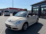 Volkswagen New Beetle Cabriolet 1.6 United - Volkswagen New Beetle: Cabrio
