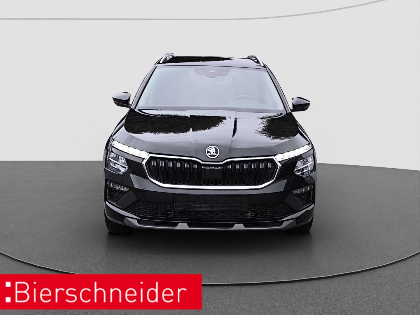 Skoda Kamiq 1.0 TSI DSG Selection LED PDC RFK imagem 2