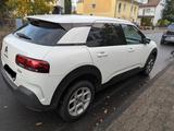 Citroën C4 Cactus PureTech 110 S&S Shine Shine - Citroën C4 Cactus von privat