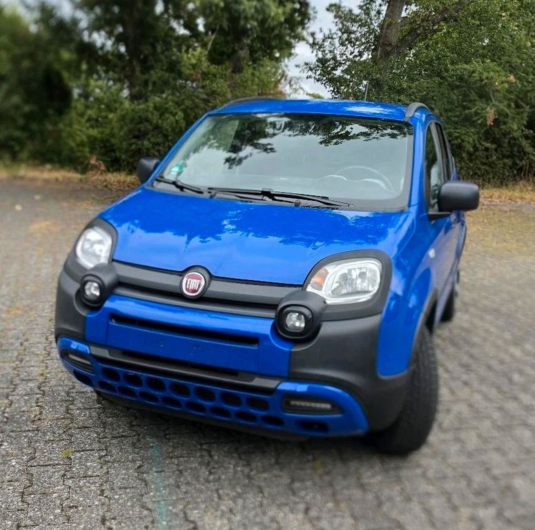 Image of Fiat Panda