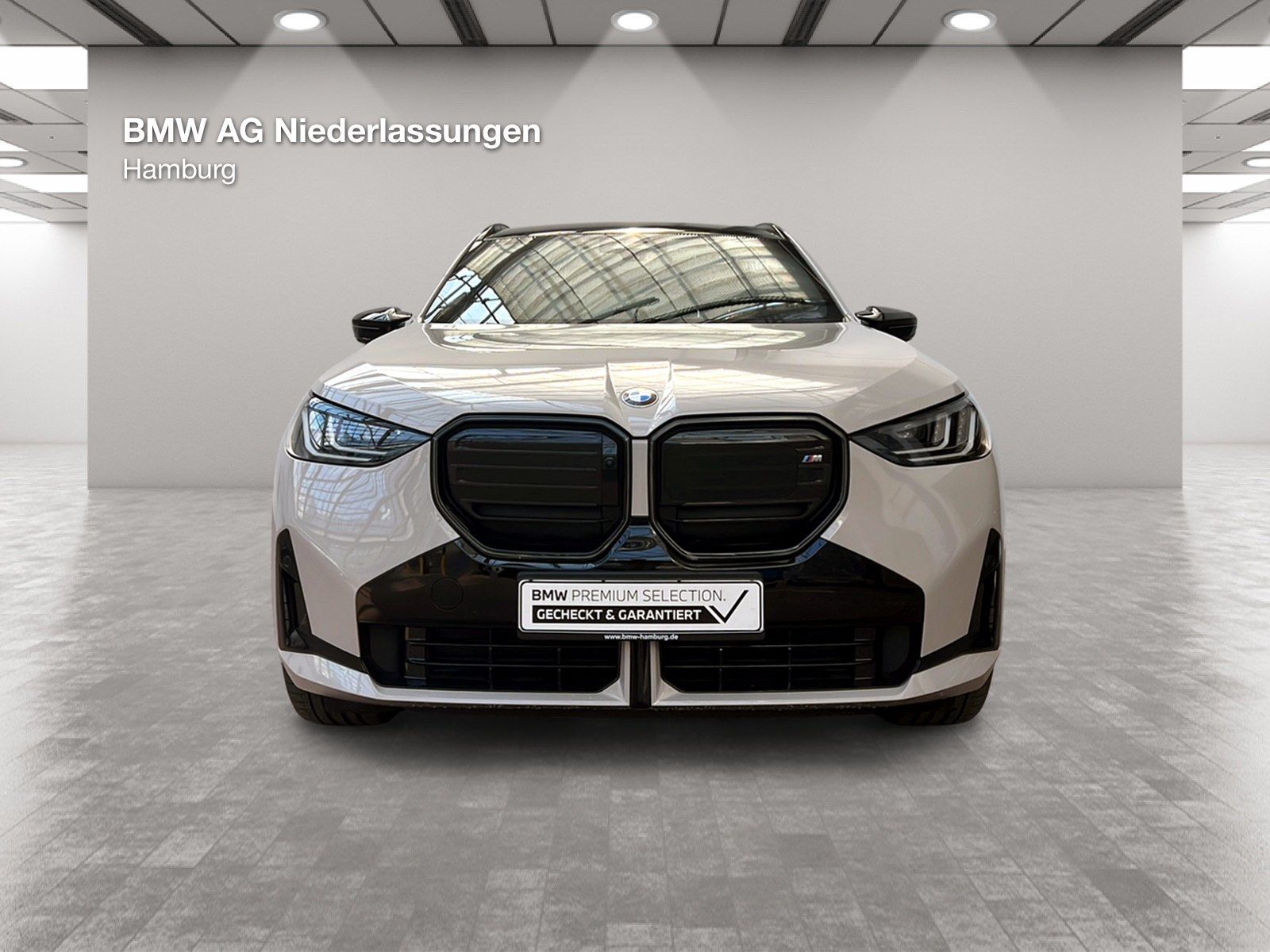 BMW X3 M50 - Bild 10