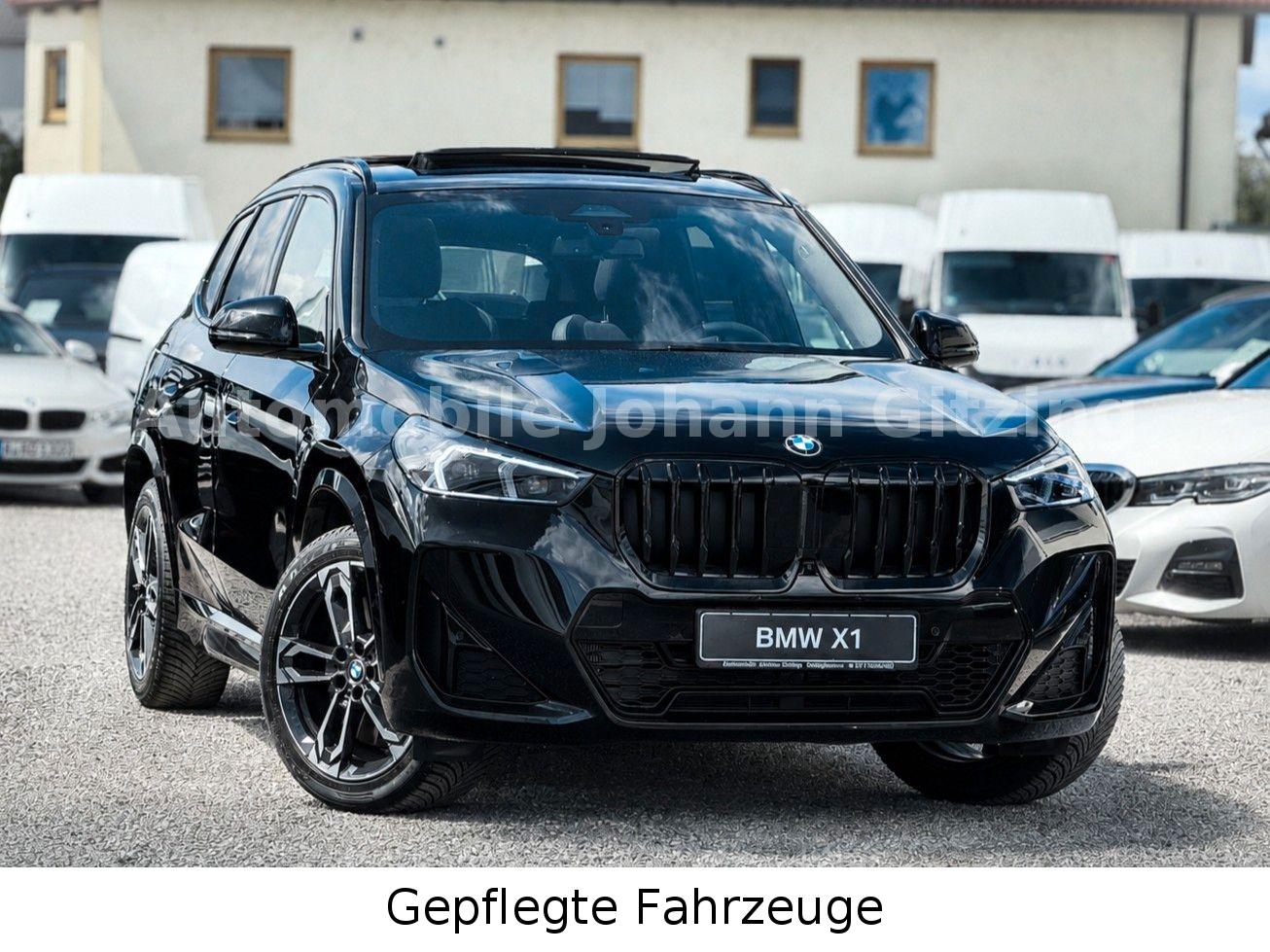 BMW X1 sDrive20i M Sport Pro 19"Shadow 360° Pano HuD
