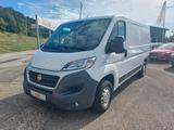 Fiat Ducato Kasten SX L2H1 AHK/Navi/Kamera/Tempomat - Fiat Ducato: Kasten