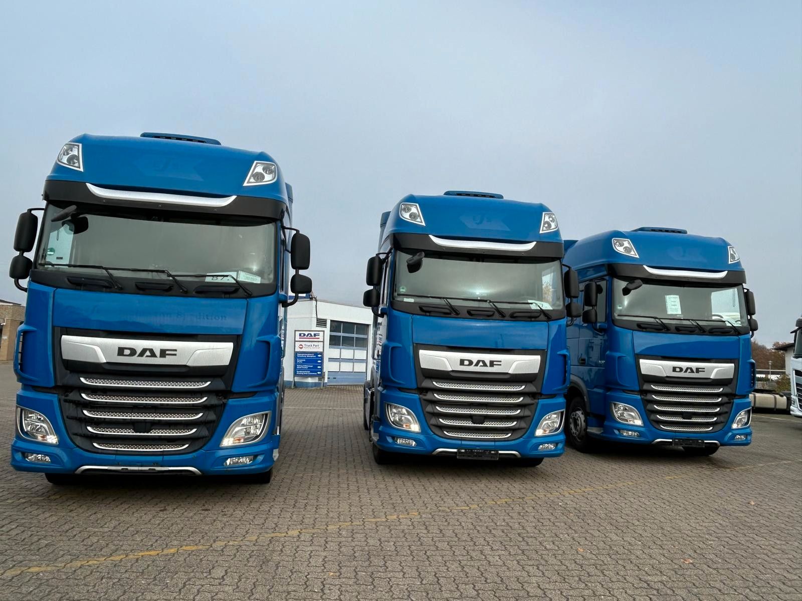 Fahrzeugabbildung DAF 12 Stück SSC, Intarder, Klima, Bj.2021